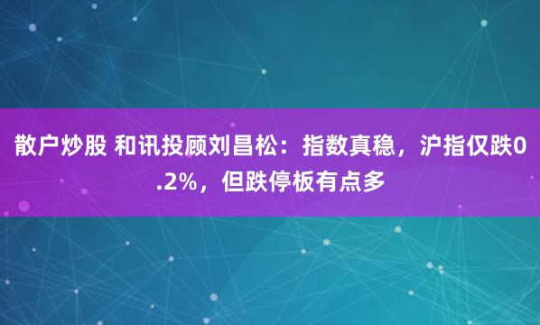 散户炒股 和讯投顾刘昌松：指数真稳，沪指仅跌0.2%，但跌停板有点多
